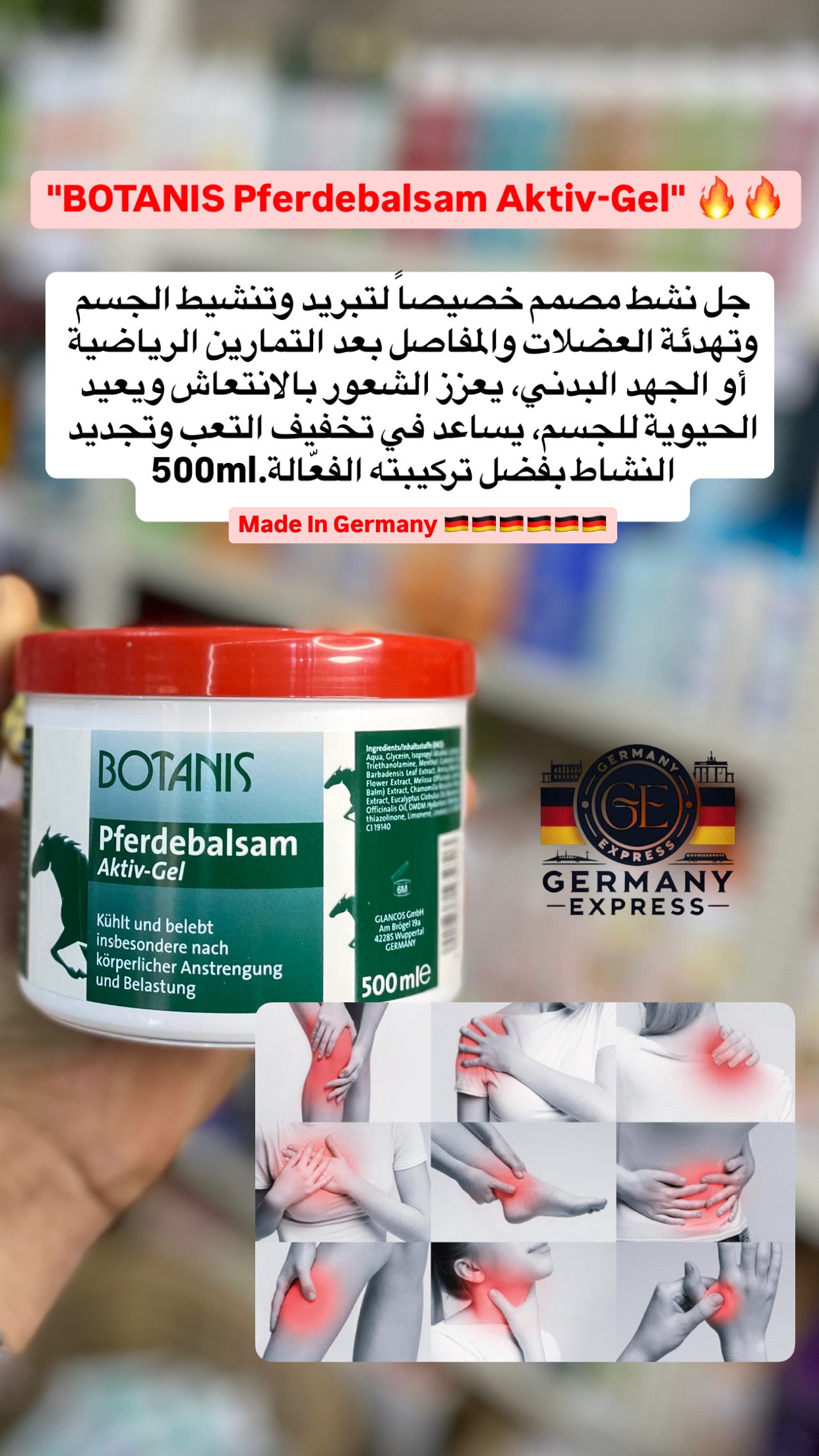 BOTANIS Pferdebalsam Aktiv-Gel. 500ml
